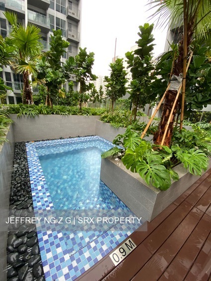 The Alps Residences (D18), Condominium #212306701